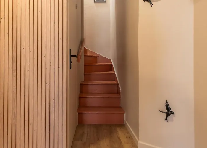 Host Crafty Apartment